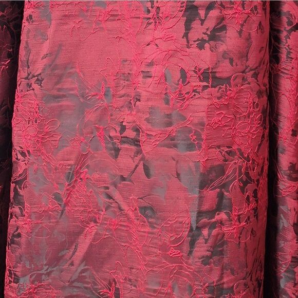 Bicici & Coty Gown - Picture 6 of 6